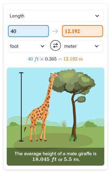 how much is 40 meters|40 Feet to Meters .
